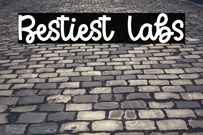 Bestiest Labs Example 2