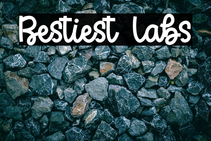 Bestiest Labs Example 3