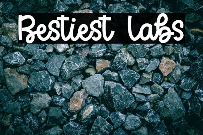 Bestiest Labs Example 3