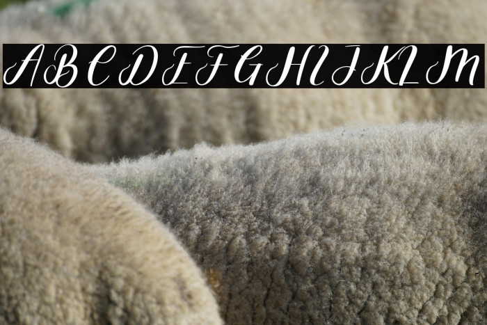 Bestiful Demo Example 3