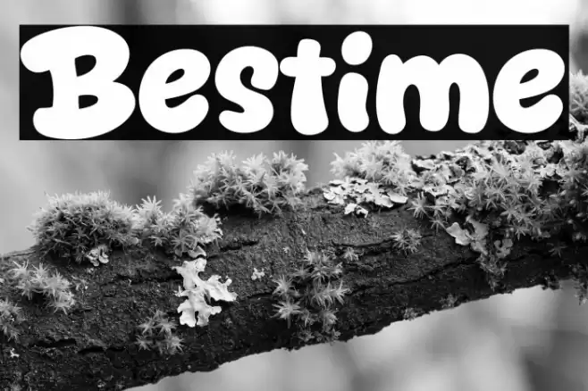 Bestime Font examples