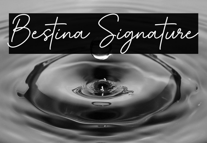 Bestina Signature Example 1