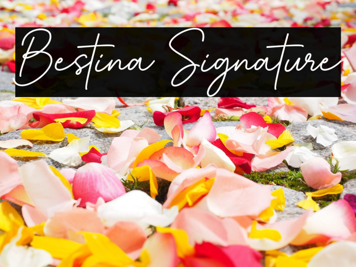 Bestina Signature Example 3