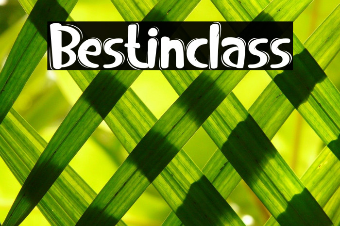 Bestinclass Font examples
