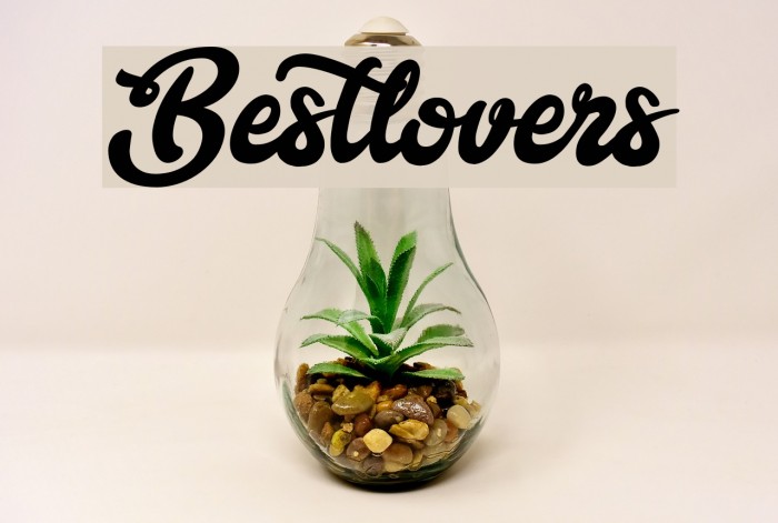 Bestlovers Example 1