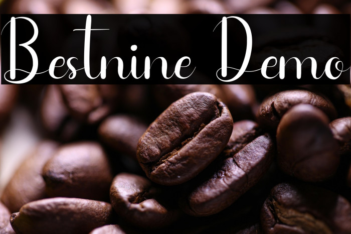 Bestnine Demo Example 1