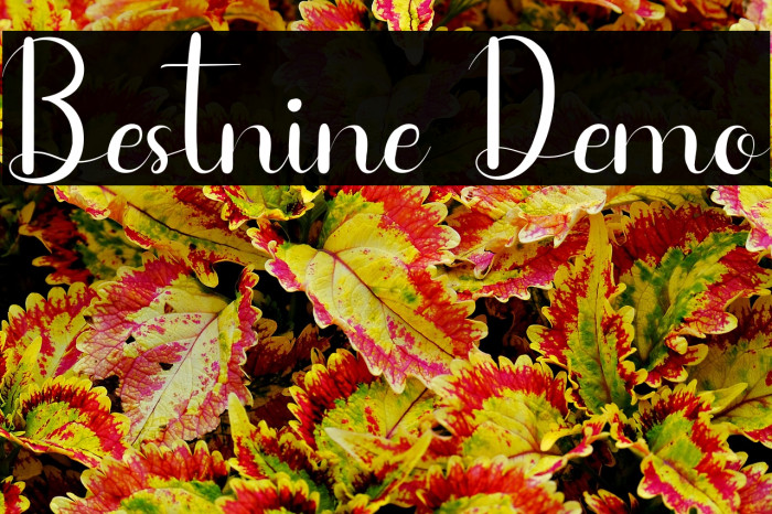 Bestnine Demo Example 3