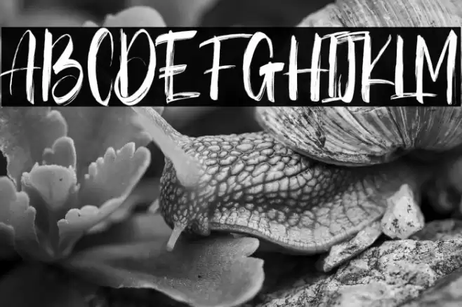 Bestons Free Regular Font examples