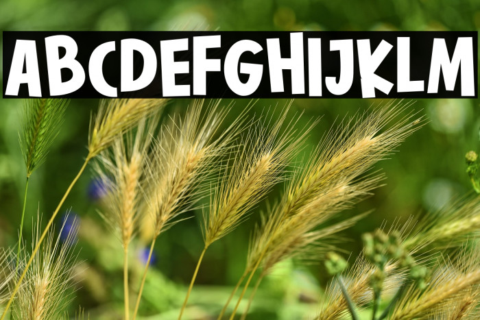 Bestoom-Bold Example 1