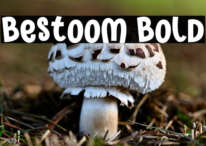 Bestoom Bold Example 2