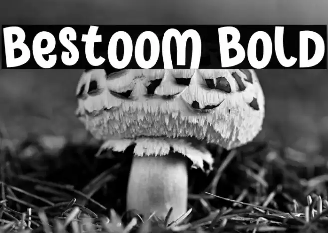 Bestoom Bold Font examples