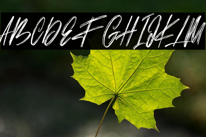 Bestro Free Example 1