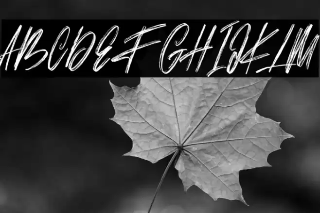 Bestro Free Font examples