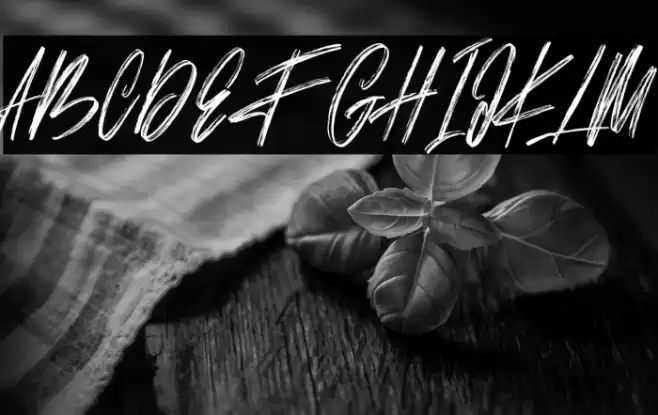 Bestro Free Font examples