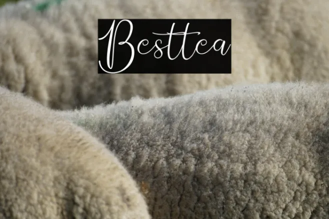 Besttea Example 2