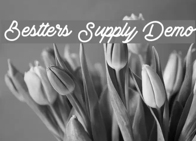 Bestters Supply Demo Font examples