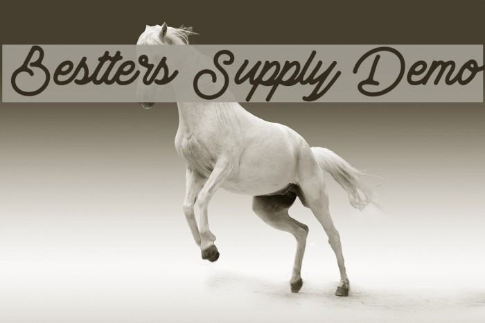 Bestters Supply Demo Font examples