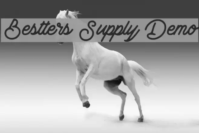 Bestters Supply Demo Font examples