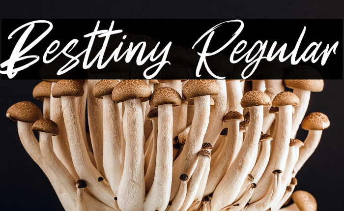 Besttiny Regular Example 2