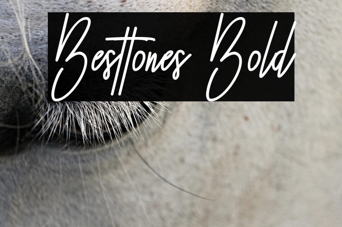 Besttones Bold Example 1