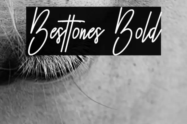 Besttones Bold Fonte examples