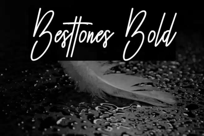 Besttones Bold Fonte examples