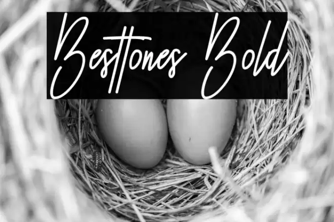 Besttones Bold Fonte examples