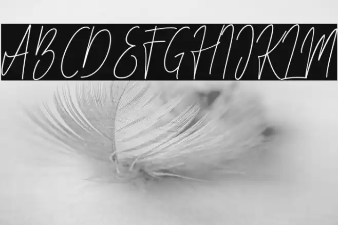 Besttones Fonte examples