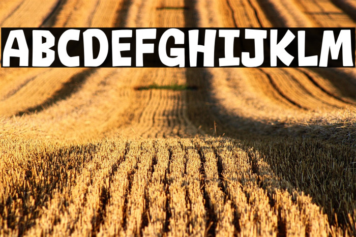 Besty Land Example 2