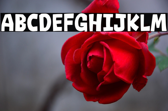 Besty Land Example 3