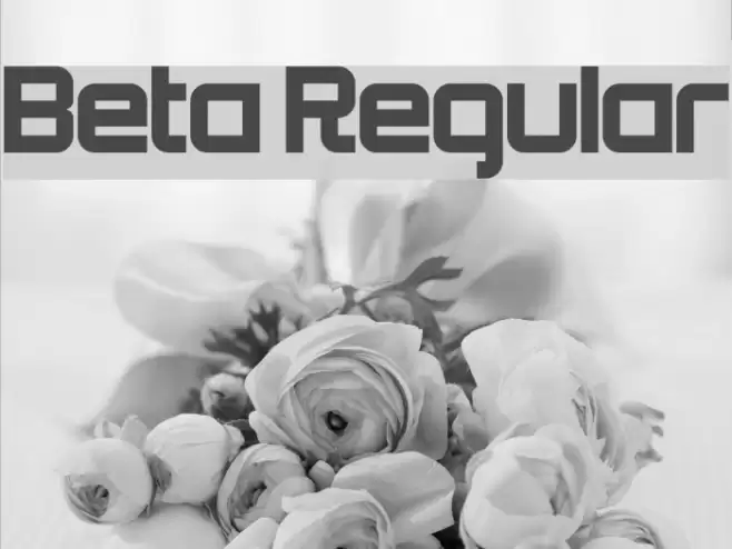 Beta Regular Font examples