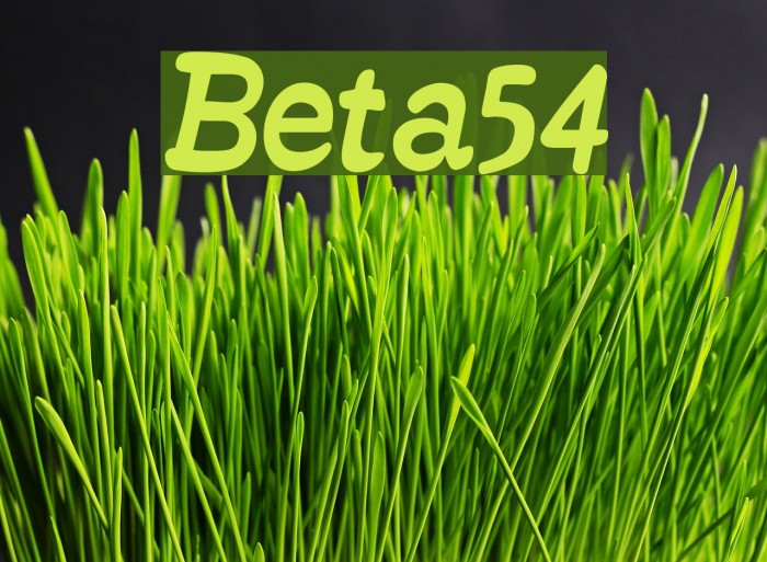 Beta54 Font examples