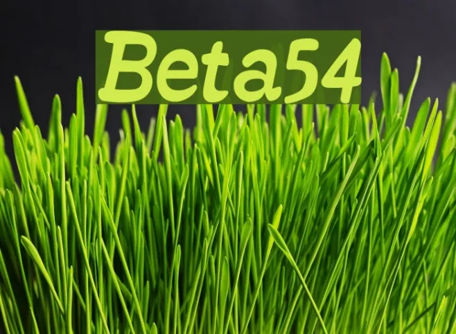 Beta54 Example 2