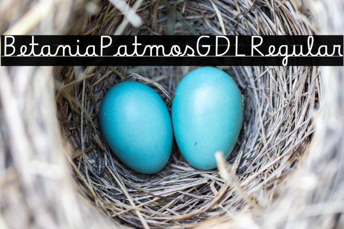 Betania Patmos GDL Regular Example 1