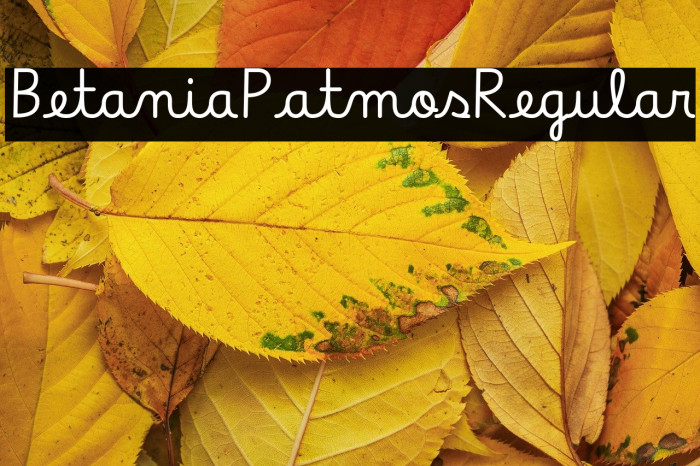 Betania Patmos Regular Example 1