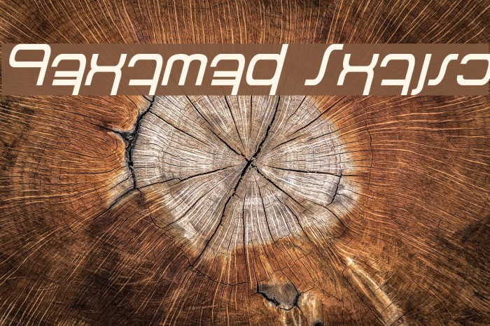 Betazed Italic Example 1