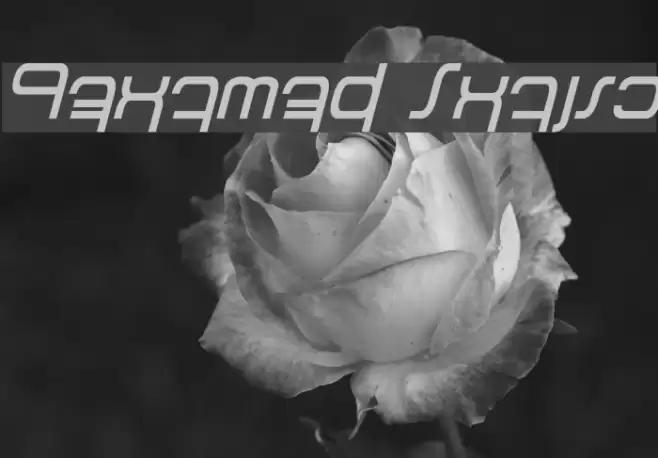 Betazed Italic Font examples