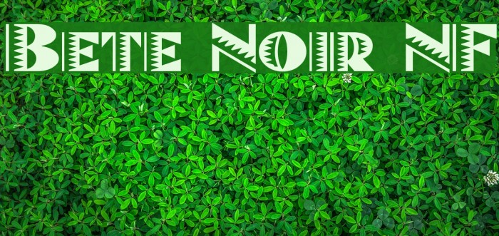 Bete Noir NF Font examples