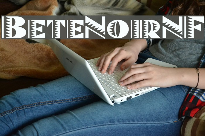 BeteNoirNF Example 2