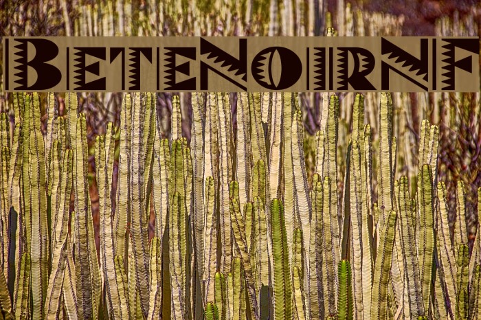 BeteNoirNF Example 3