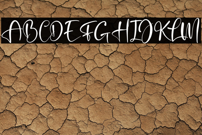 Beterdam Smith Example 1