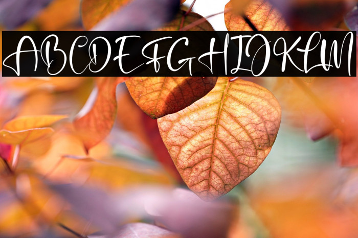 Beterdam Smith Example 2