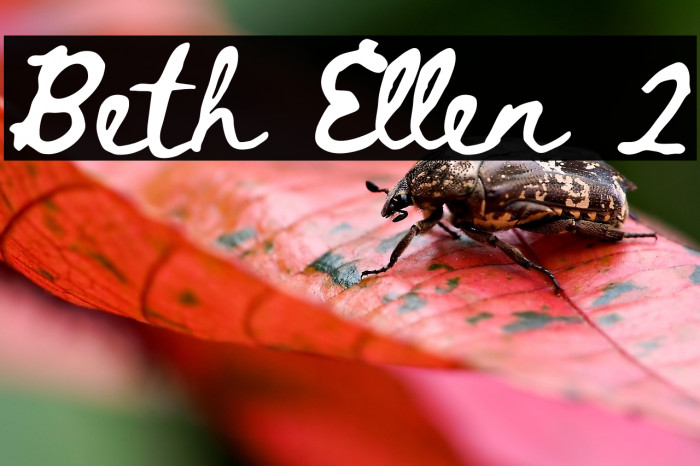 Beth Ellen 2 Example 3