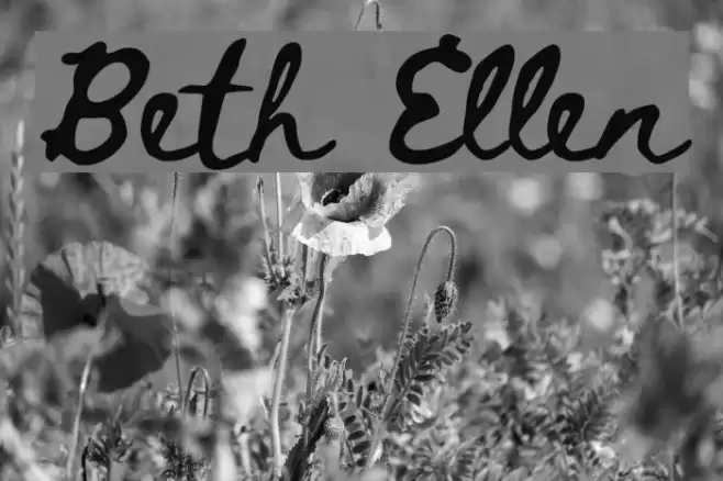 Beth Ellen Font examples