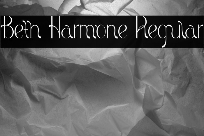 Beth Harmone Regular Example 2