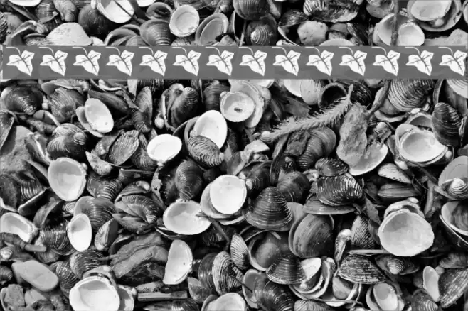 Beth-Luis-Nion Font examples