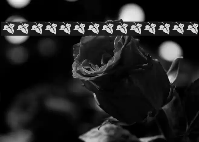 Beth-Luis-Nion Font examples