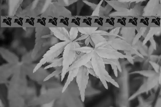 Beth-Luis-Nion Font examples