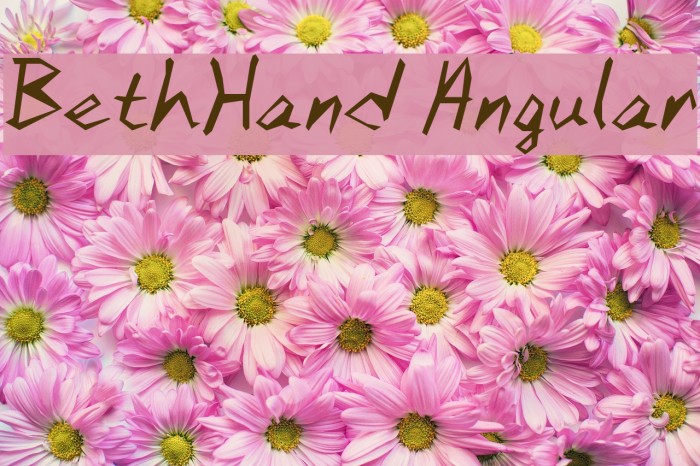 BethHand Angular Font examples