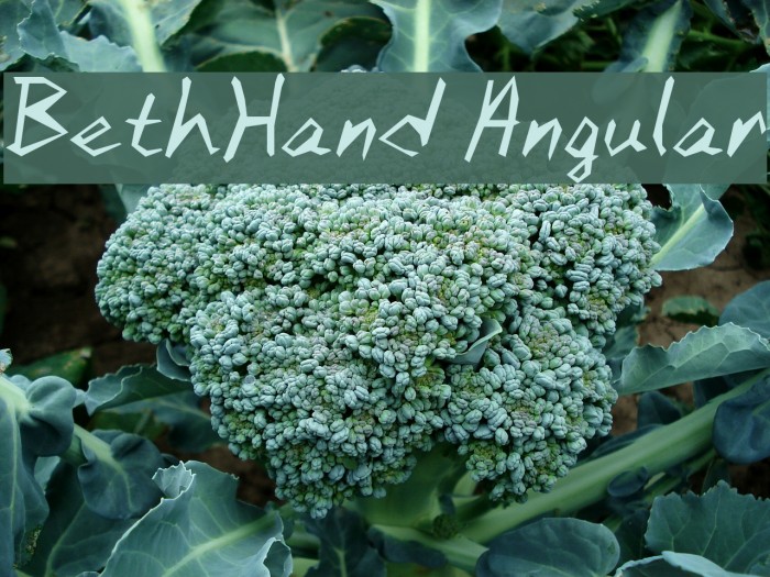 BethHand Angular Font examples
